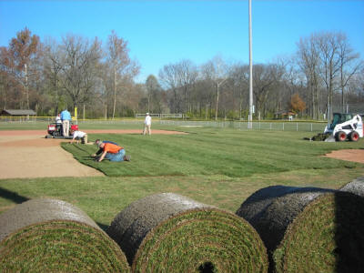 City of Sidney Parks and Recreation by the Mercer Group - click to enlarge